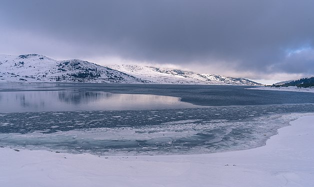 Belmeken Reservoir in the Rila National Park. Photograph: Нина Стайкова