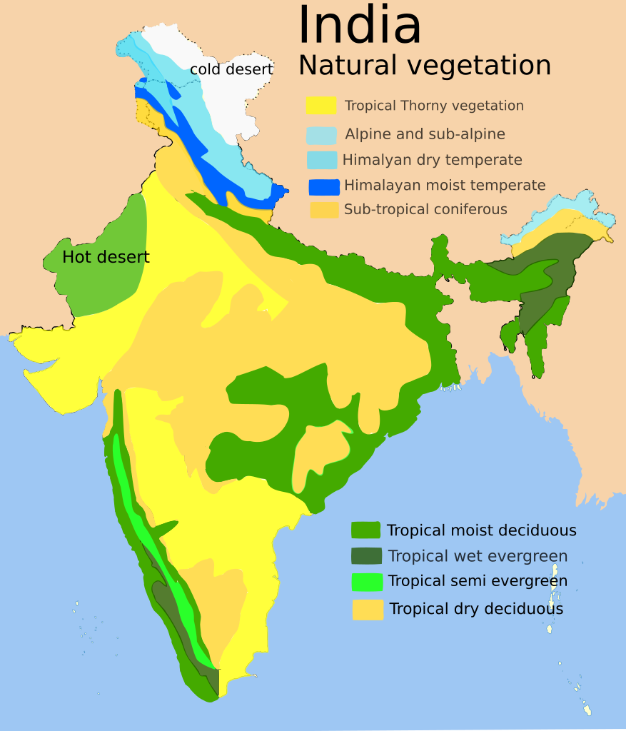 24option india