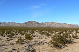 Ivanpah Dağları 1.jpg