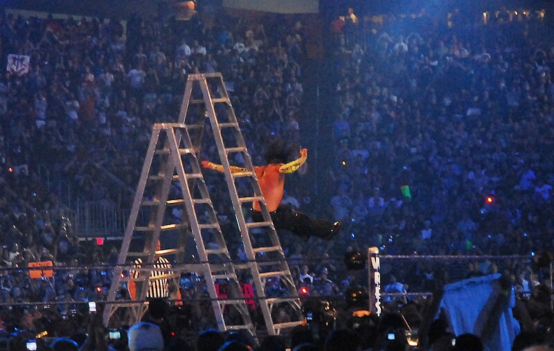 File:Jeff Hardy falling to his ultimate demise.jpg