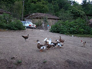 Kuteh Kumeh village in Iran