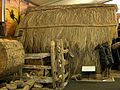 Gumdigger's hut made from trunks and plaited leaves of the Nikau