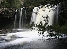 Tasmania Wikipedia - 