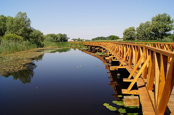 Nature park Kopački rit. Photograph: MirNA butterfly (CC BY-SA 4.0)