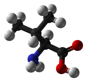 Valină: Caracteristici, Structura, Biosinteza