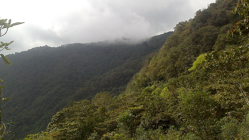 File:La asunción - panoramio.jpg