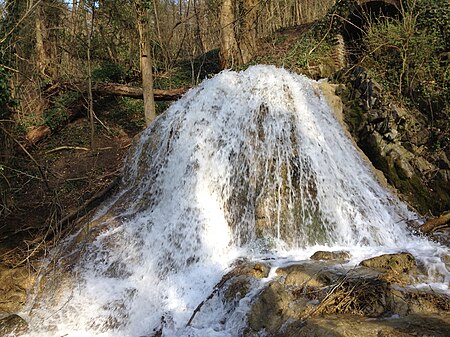 Laubach Wasserfall Neandertal 2014 03 08