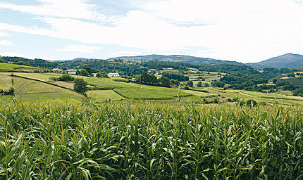 Lalín (comarca Montaña-Pontevedra), 15 d'agost de 2004