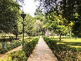 Lodi Garden in Delhi