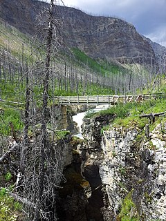 Marble Canyon (Canadian Rockies)