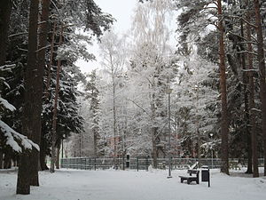 Лесопарк Капа зимой