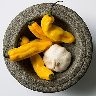 <span class="mw-page-title-main">Madame Jeanette</span> Variety of chili pepper