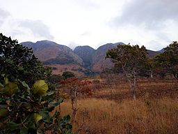 Mafingabergen i Malawi.