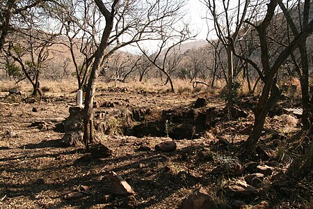 Malapa fossil site, August 2011 site of discovery of Australopithecus sediba - view North.jpg