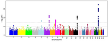 This is a Manhattan plot for microcirculation genome associations. On the X-axis it shows genes by chromosome, and on the Y-axis it shows the log of the P-values. Manhattan Plot.png