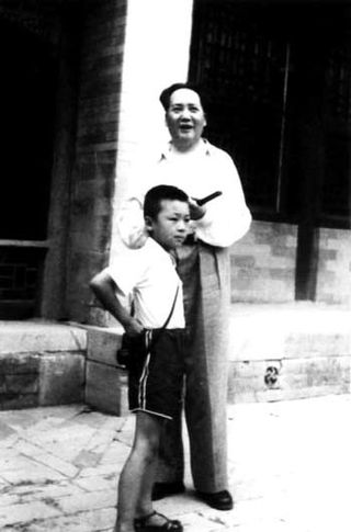 <span class="mw-page-title-main">Mao Yuanxin</span> Chinese politician and nephew of Mao Zedong