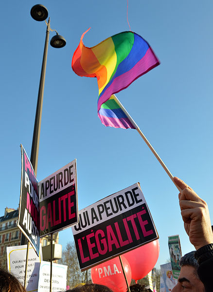 File:Marriage equality demonstration Paris 2013 01 27 21.jpg