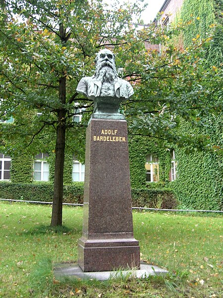 File:Martin Wolff - Denkmal Adolf Bardeleben.jpg
