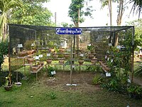 Medicinal herbs garden hospital, Thailand