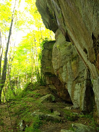 <span class="mw-page-title-main">Minister Creek Trail</span> Hiking trail in Allegheny National Forest in Pennsylvania