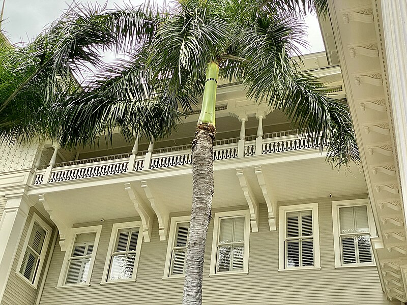 File:Moana Hotel, Kalakaua Avenue, Waikiki, Honolulu, HI - 52272168877.jpg