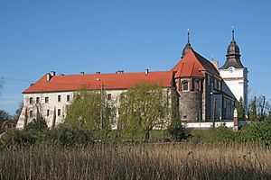 Mogilno klasztor od wsch 02.jpg