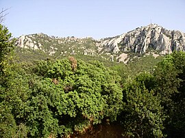 Mont faron.jpg