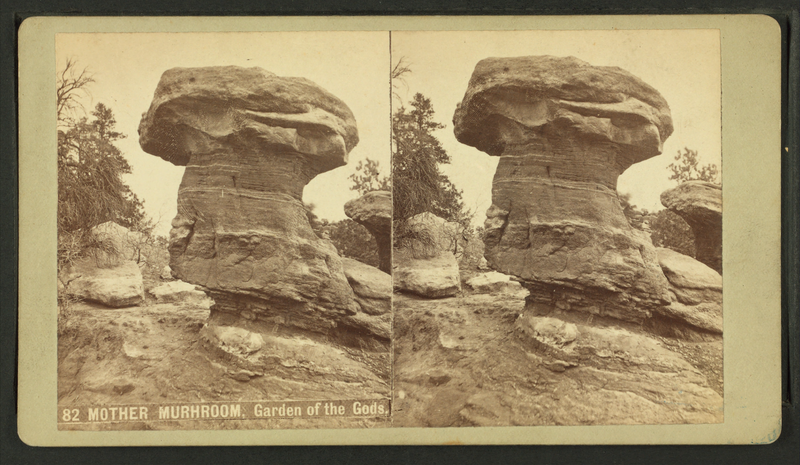 File:Mother Murhroom (Mushroom). Garden of the Gods, by Weitfle, Charles, 1836-1921.png