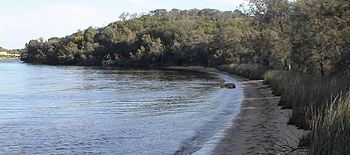 Monto Henry Shoreline, Aquinas Bay.