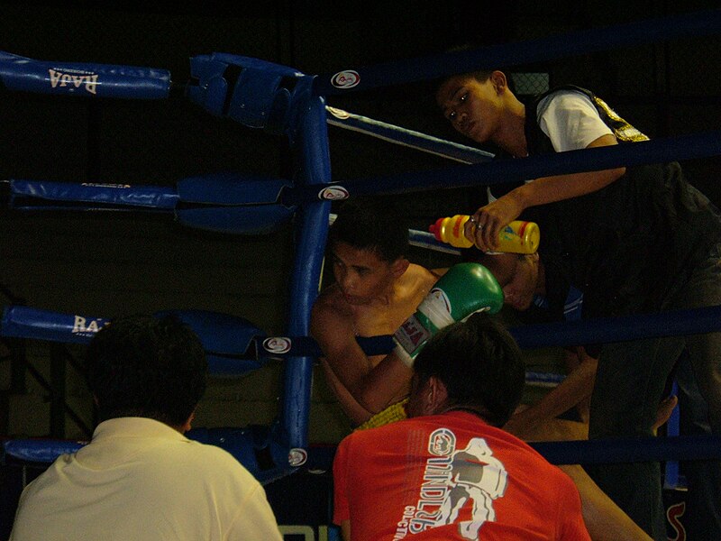 File:Muay Thai match at Rajadamnern Stadium 2007-05-20 19.JPG