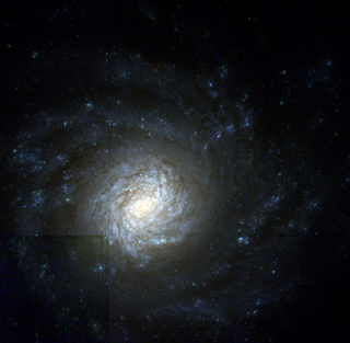NGC 4041 Galaxy in the constellation Ursa Major