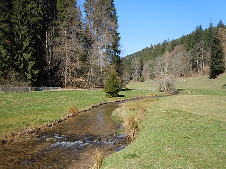 NSG Köllbachtal 03