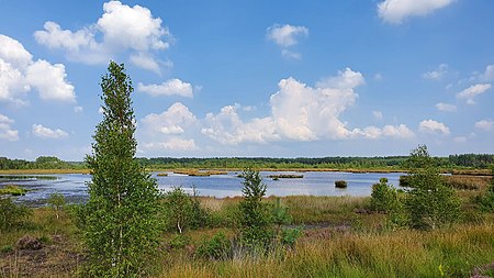 NSG Lührsbockeler Moor