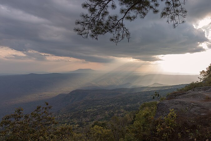 Mak Dook Cliff, Loei