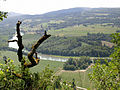 Die Rhone bei Nattages