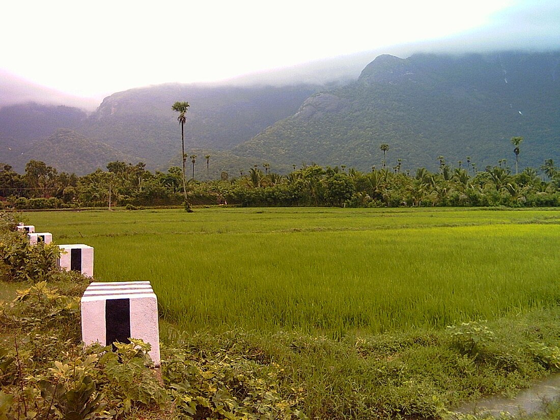 പാലക്കാട് ജില്ല