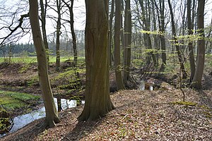 Niedersachsen, Heeßel, Landschaftsschutzgebiet NIK 2720.JPG