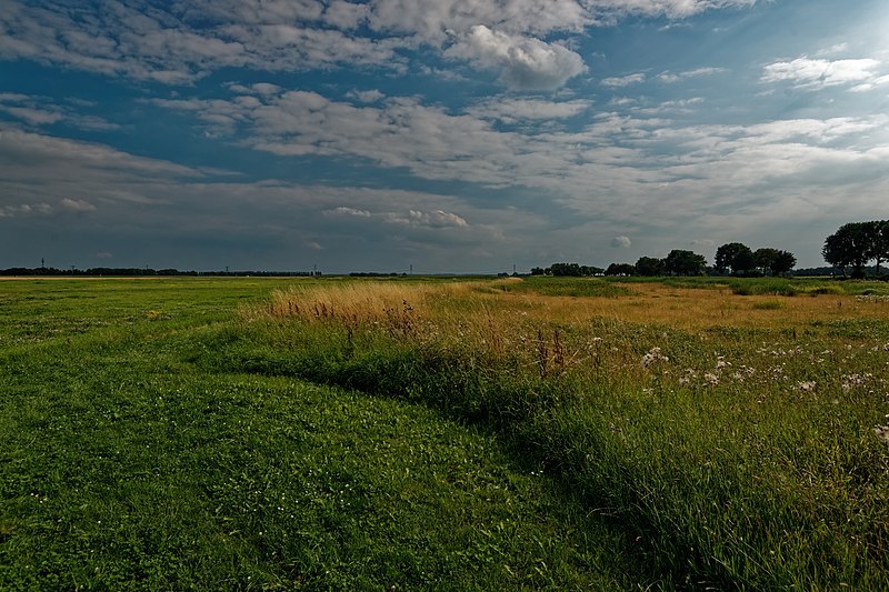 File:Noordoostpolder - Schokland - Ruïnepad - View South.jpg