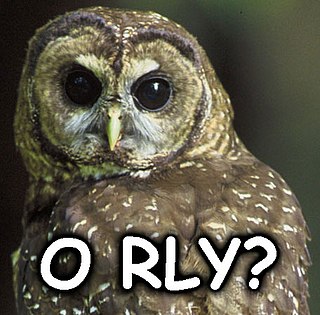 O RLY? Internet meme