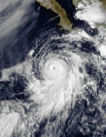 1989 Pacific Hurricane Season