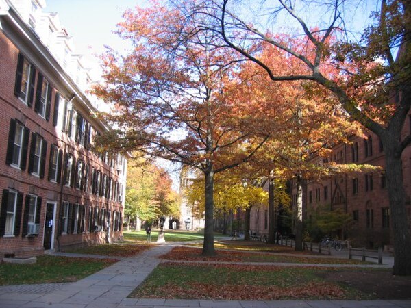 Connecticut Hall on the left and Welch Hall on the right.