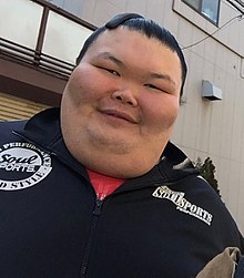 Orora Sumo Wrestler 2016.jpg