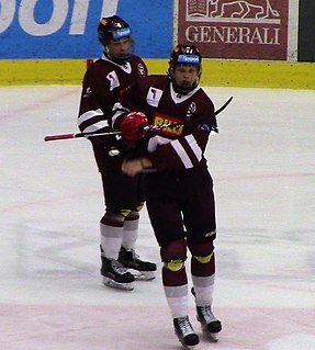 <span class="mw-page-title-main">Ostap Safin</span> Czech ice hockey player