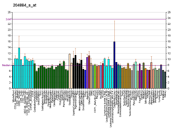 PBB GE HUS1 204884 s bei fs.png