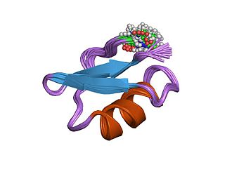 Lq2 PDB 1lir EBI.jpg