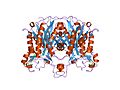 Vignette pour Cétosynthase