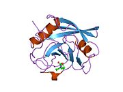 PDB 1w8m EBI.jpg