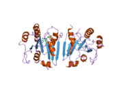 2fa9: The crystal structure of Sar1[H79G]-GDP provides insight into the coat-controlled GTP hydrolysis in the disassembly of COP II