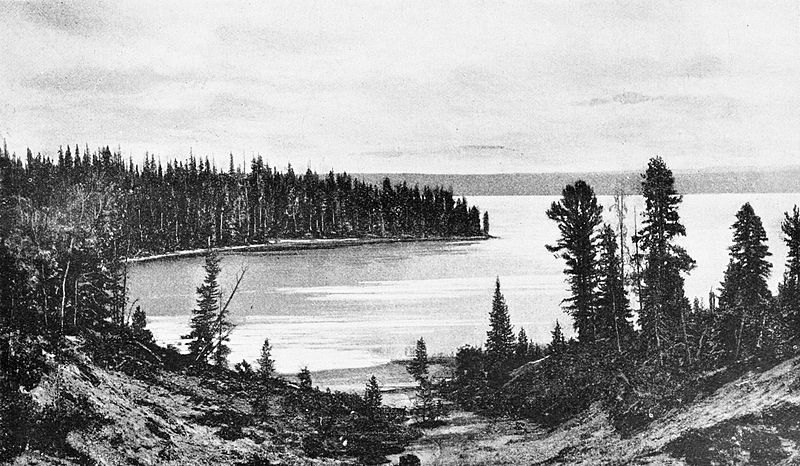 File:PSM V47 D191 Shoshone lake north shore.jpg