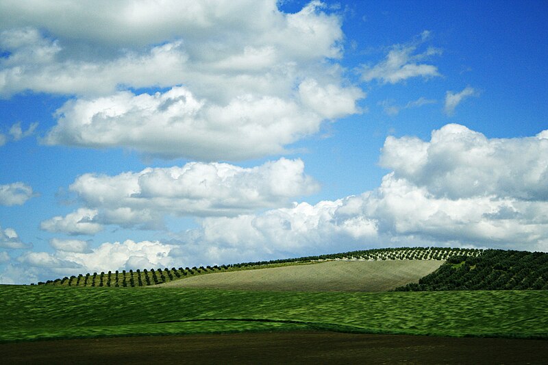 File:Paisaje del sur de España.jpg